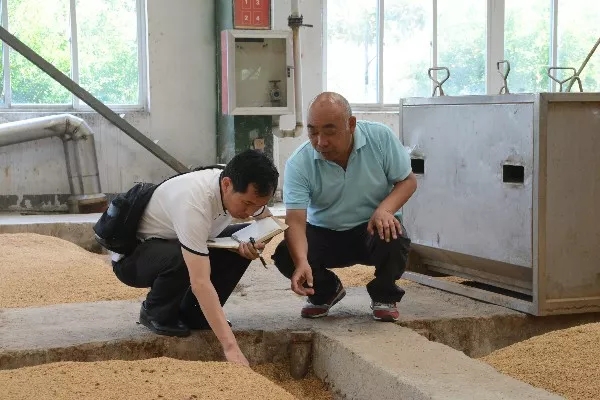1599030529105359.jpg 洋河红星参观1.webp.jpg