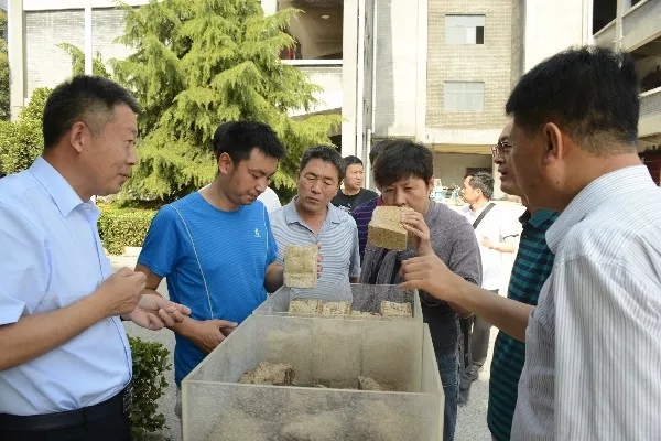 1599030538360606.jpg 洋河红星参观2.webp.jpg